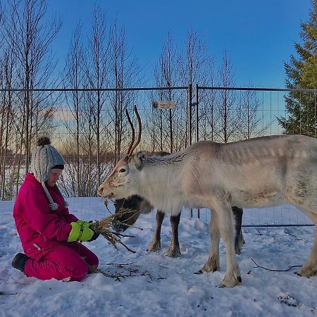 Villa Beautiful Rural Experience With Reindeer Tervola Exterior foto