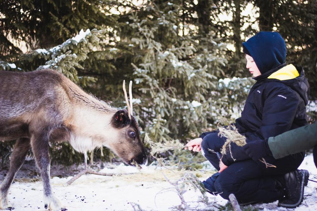 Villa Beautiful Rural Experience With Reindeer Tervola Exterior foto
