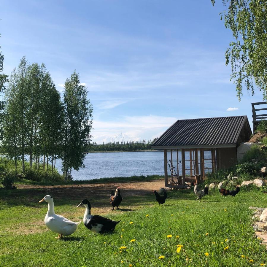 Villa Beautiful Rural Experience With Reindeer Tervola Exterior foto