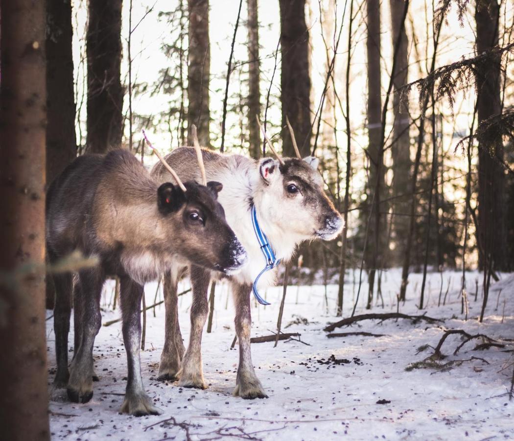 Villa Beautiful Rural Experience With Reindeer Tervola Exterior foto